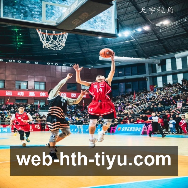 全面掌握游泳动作要领提升游泳效率与安全性的实用指南